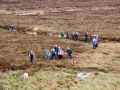 friendshipwalk25